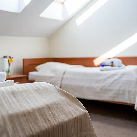 Villa Martii - Komfortowe Apartamenty Z Aneksami Kuchennymi - Spokojna Okolica, Blisko Plazy Проживание в семье Владыславово