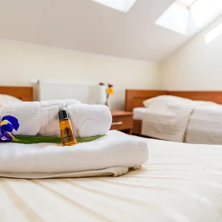 Villa Martii - Komfortowe Apartamenty Z Aneksami Kuchennymi - Spokojna Okolica, Blisko Plazy Проживание в семье Владыславово