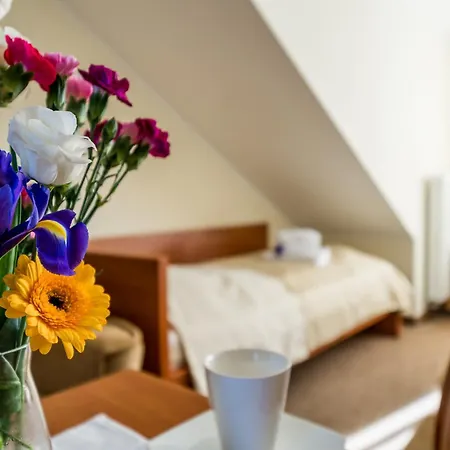 Villa Martii - Komfortowe Apartamenty Z Aneksami Kuchennymi - Spokojna Okolica, Blisko Plazy Проживание в семье *
